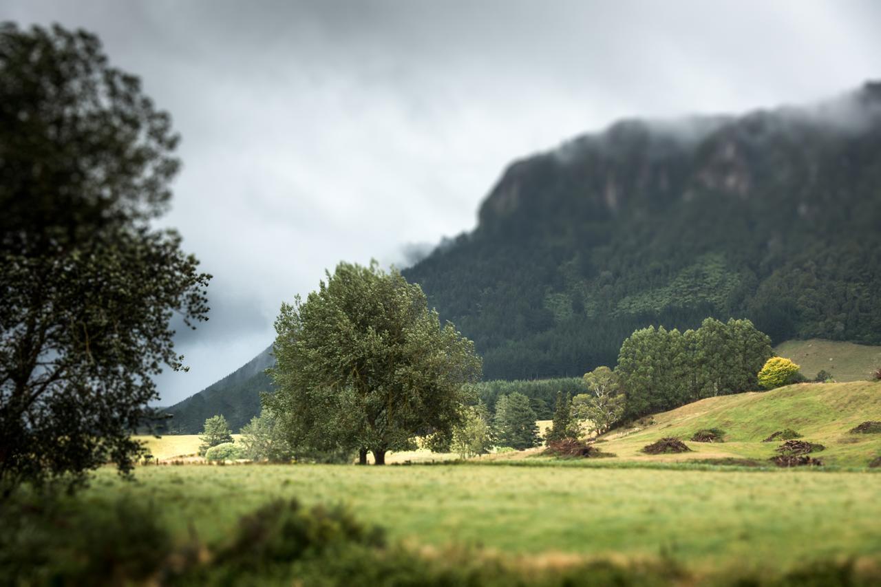 Astelia Lodge Horohoro Eksteriør bilde